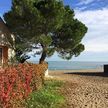 D'hotes Cote Vermeille *
