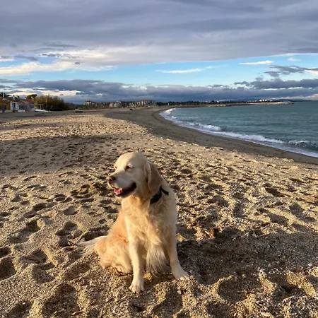 Côte Vermeille * Argelès-sur-Mer